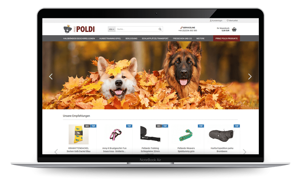 Webshop erstellen lassen