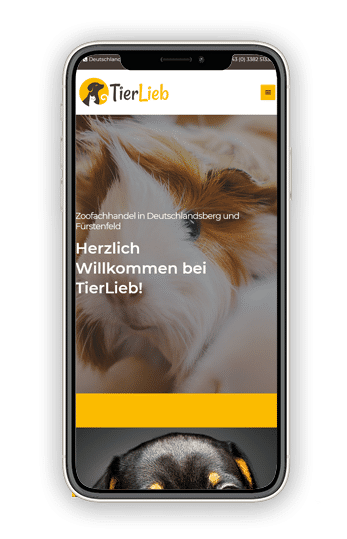 Homepage erstellen lassen