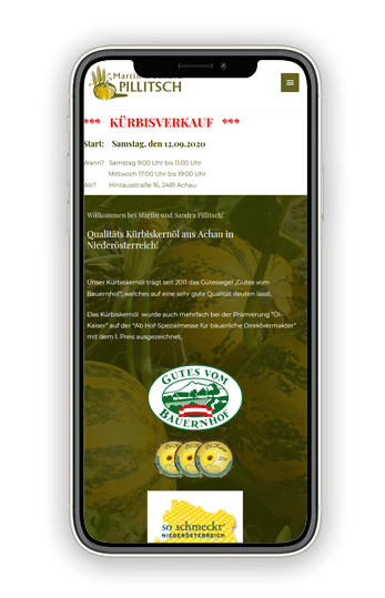 Homepage erstellen lassen