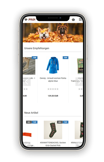 Webshop erstellen lassen