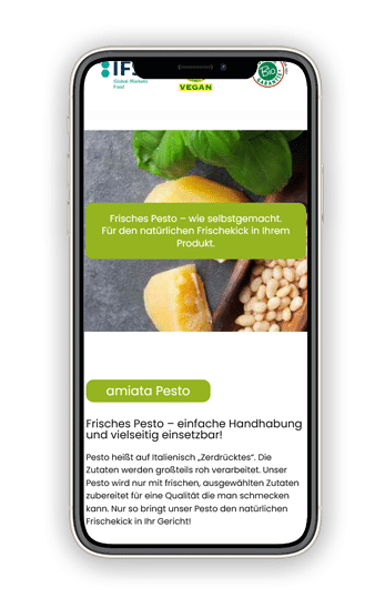 Homepage erstellen lassen