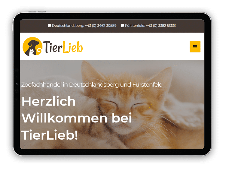 Homepage erstellen lassen
