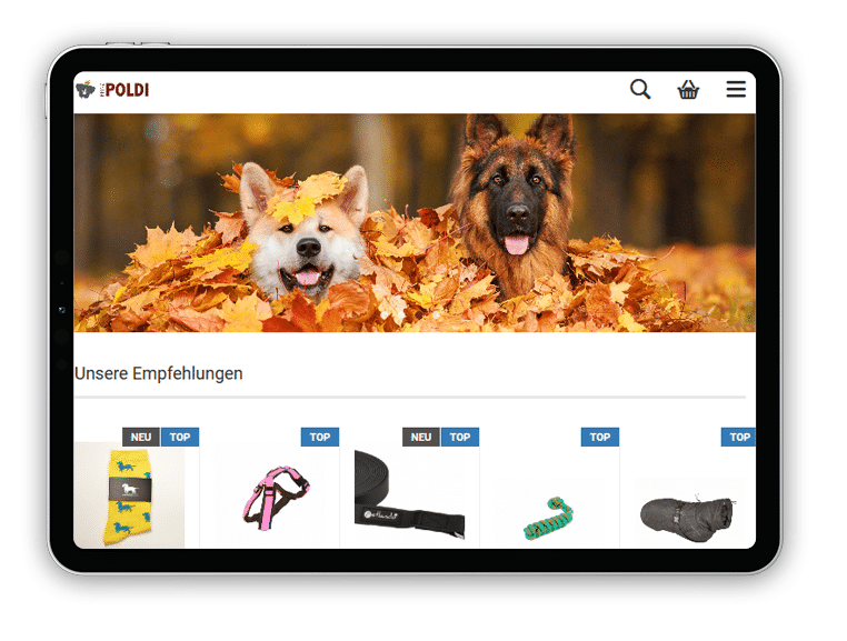 Webshop erstellen lassen